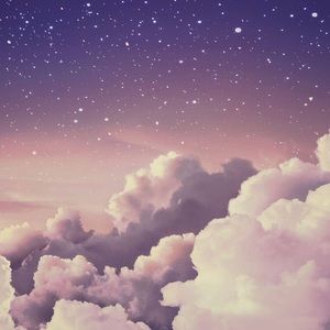 Meet your Posher, Marley